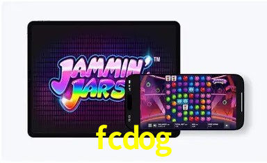 Experiência VIP fcdog
